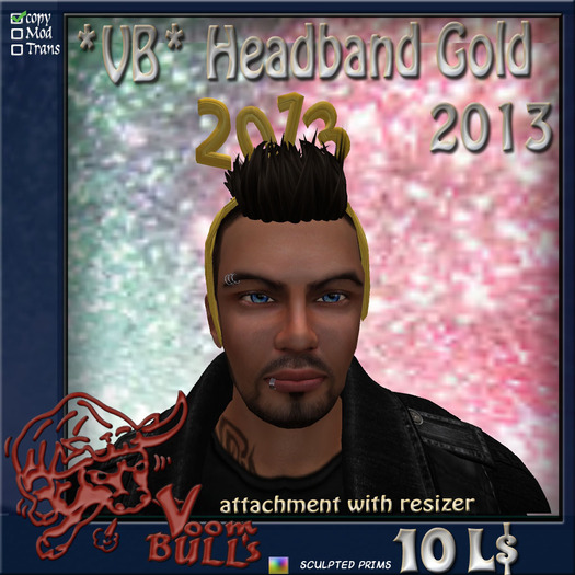 *VB*Headband Gold 2013