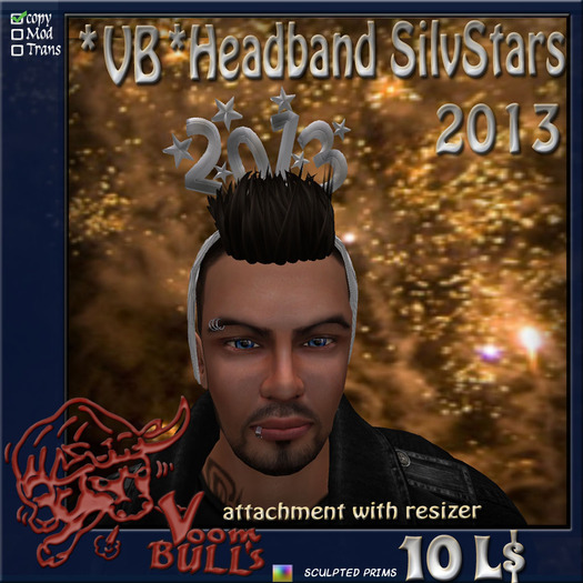 *VB*Headband Silv Stars 2013
