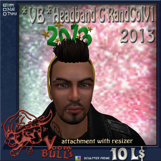 *VB*Headband G RandColV1 2013