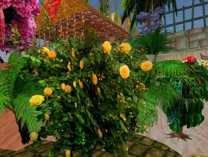 Yellow Rose Bush & Full Permission Texture
