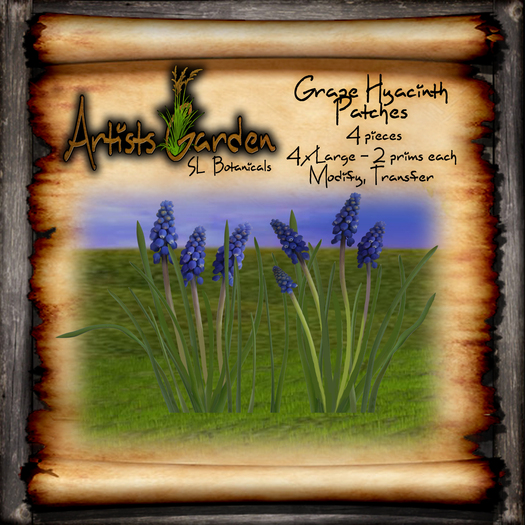 -A'G- Grape Hyacinth Patches Large