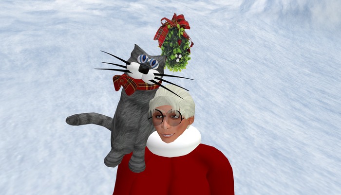 Wingsong Mistletoe V2 Box