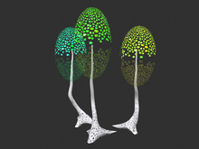 Soror's New Birch set II