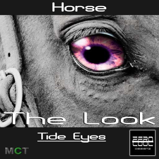 ZC The Look Horse - Tide Eyes 8