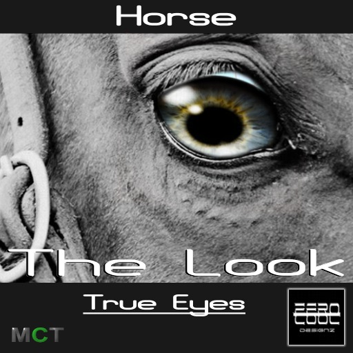 ZC The Look Horse - True Eyes 1