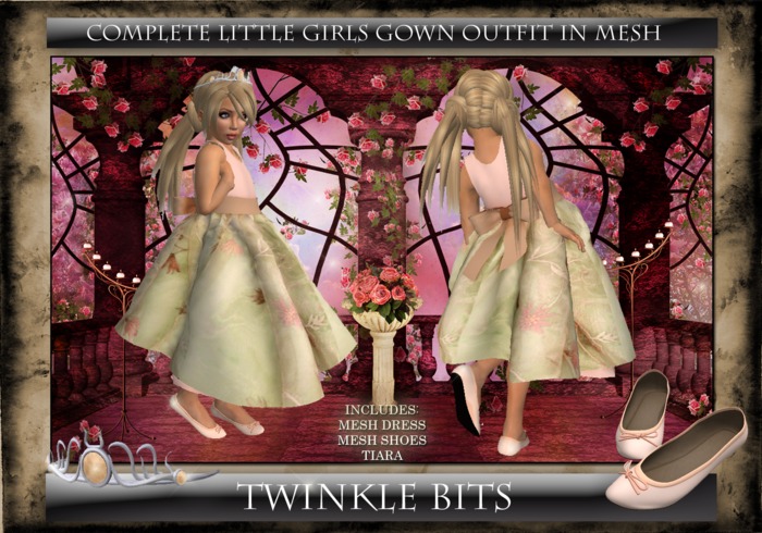 Twinkle bits: Party Princess! Complete little girls gown set in rigged mesh including ballerina flats and tiara - toffee