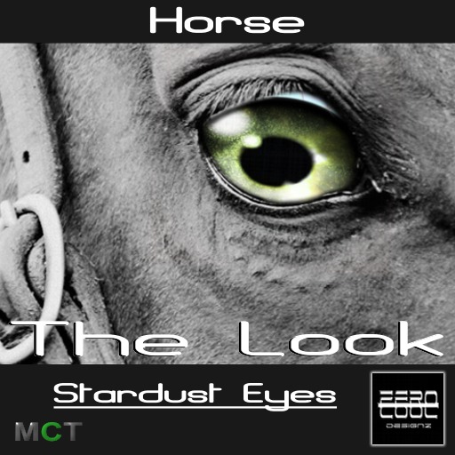 ZC The Look Horse - Stardust Eyes 2