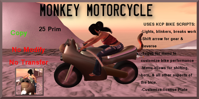 Monkey Motorcycle
