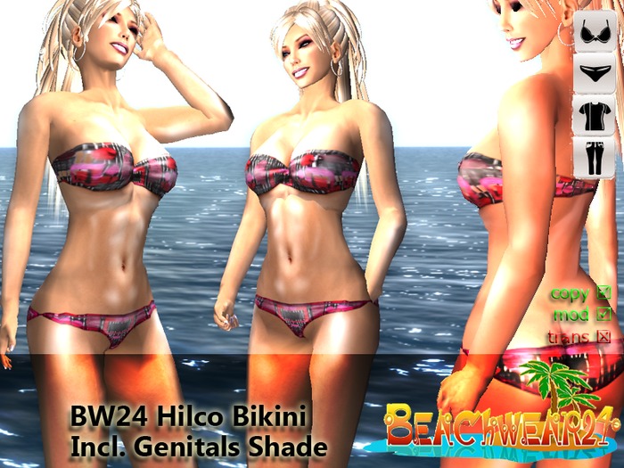 BW24 Hilco Bikini