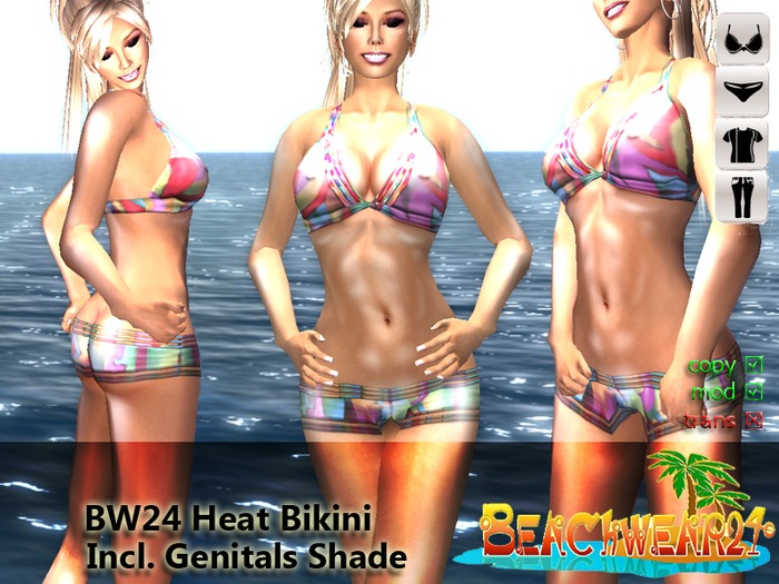 BW24 Heat Bikini
