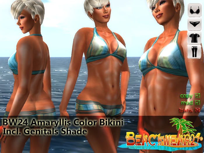 BW24 Amaryllis Color Bikini
