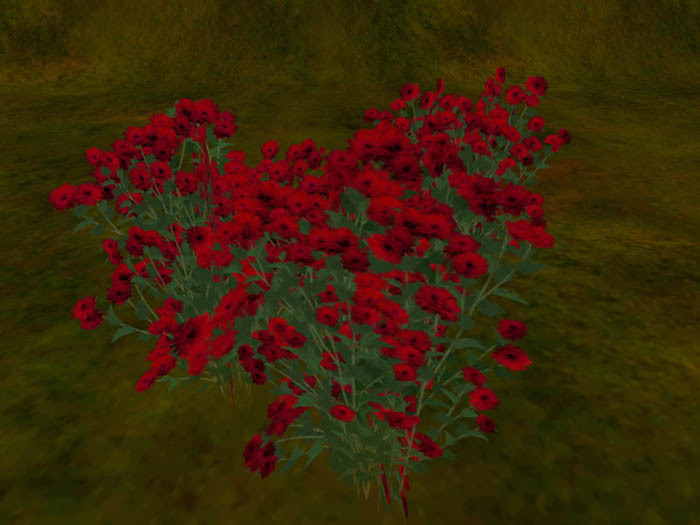 small chrysanthemum red
