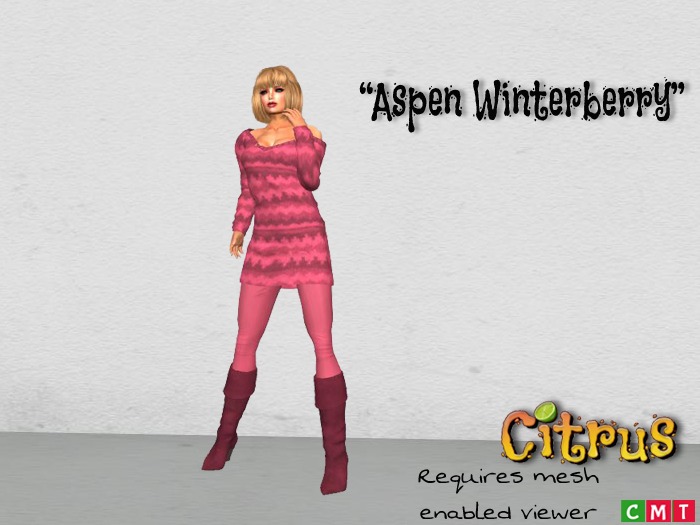 *Citrus* Aspen Complete Outfit - Winterberry