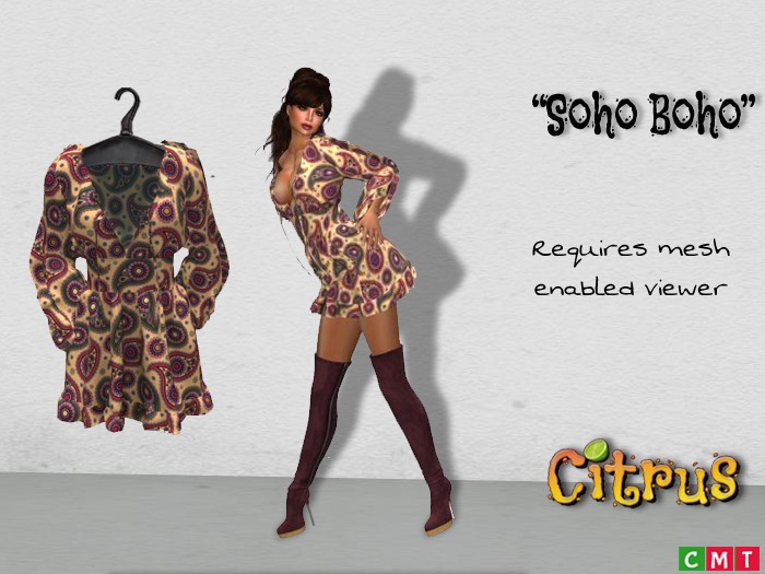 *Citrus* Soho Boho Palma Mini Dress
