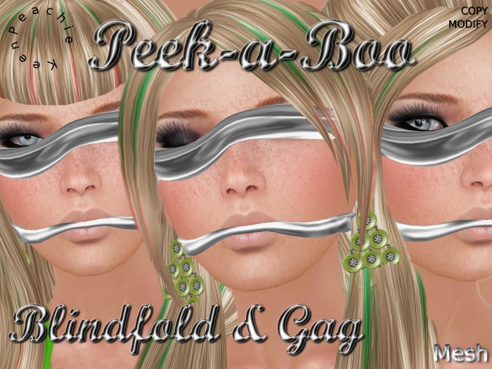 Peek-a-Boo Blindfold & Gag Silver (Mesh)