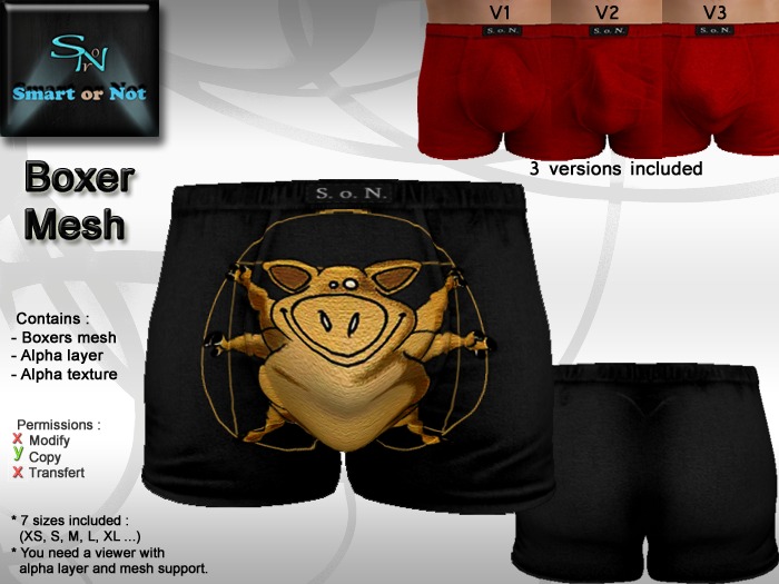 Boxer Vitruve black - MESH