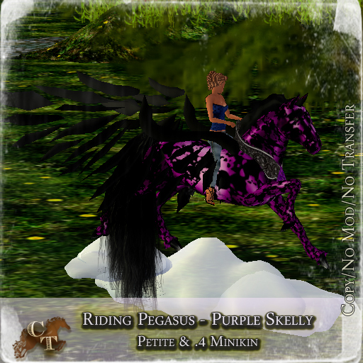 @CTM@ Petite Riding Pegasus (P/I.4M) Purple Skelly