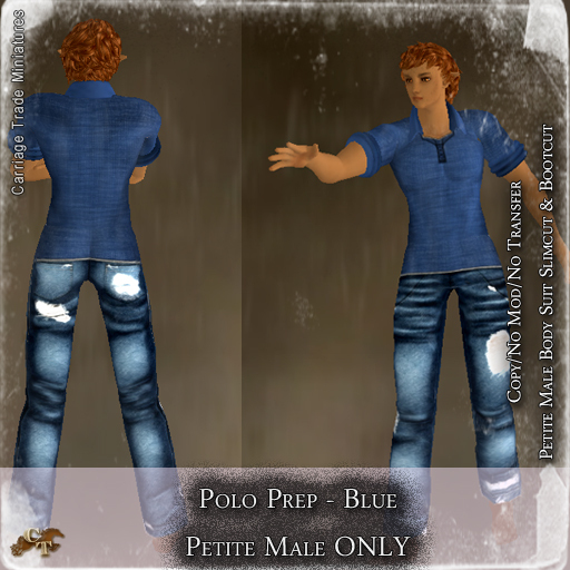 @CT@ Polo Prep (Petite Male) Blue