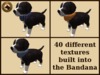 Vkc birch puppy marketplace advert 05