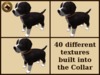 Vkc birch puppy marketplace advert 06