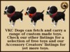 Vkc birch puppy marketplace advert 07
