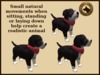 Vkc birch puppy marketplace advert 08