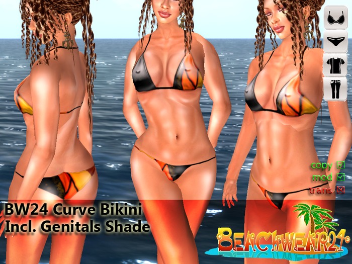 BW24 Curve Bikini