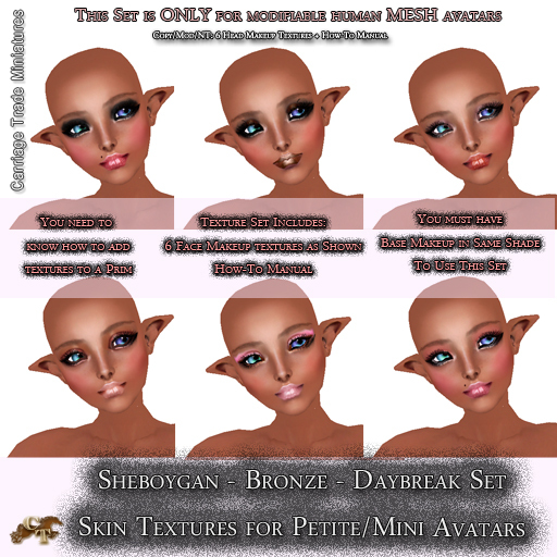 @CTM@ Sheboygan Skin Set (Petite/Minikin ONLY) Bronze - Daybreak Makeup Set 