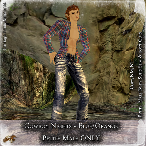 @CTM@ Cowboy Nights (Petite Male Only) Blue/Orange