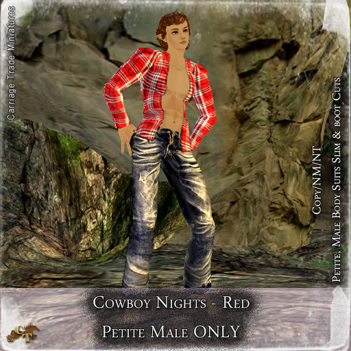 @CTM@ Cowboy Nights (Petite Male Only) Red