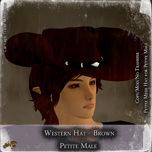 @CTM@ Western Hat (UNISEX P/M/I) Brown
