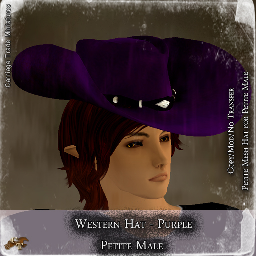 @CTM@ Western Hat (UNISEX P/M/I) Purple