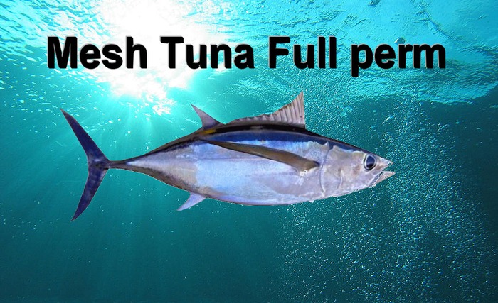 Mesh Tuna Full perm