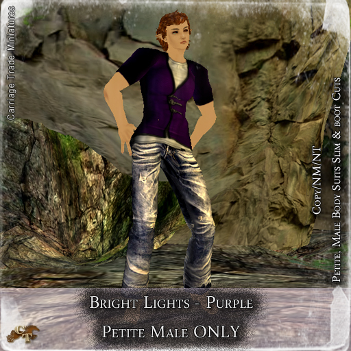 @CTM@ Brights Lights (Petite Male ONLY) Purple
