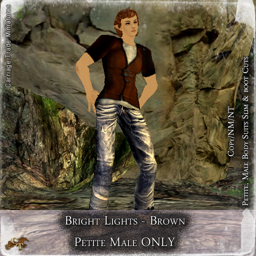 @CTM@ Brights Lights (Petite Male ONLY) Brown