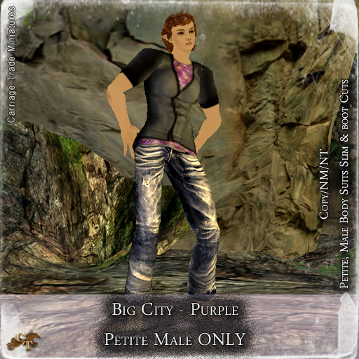 @CTM@ Big City (Petite Male ONLY) Purple