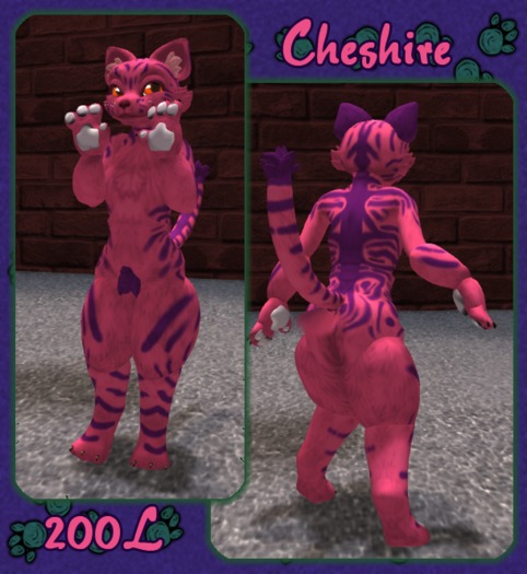 Cheshire Katt