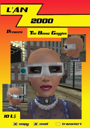 Bionic Goggles