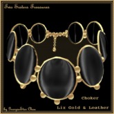 TST Liz Gold Leather Choker