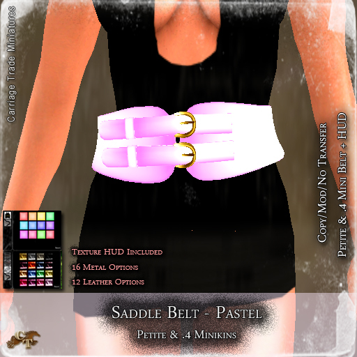@CTM Saddle Belt (P/.4M/I) Pastels