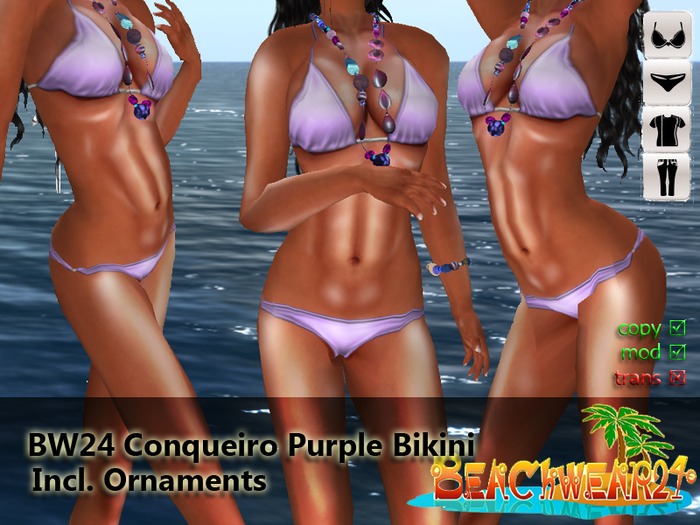 BW24 Conqueiro Purple Bikini