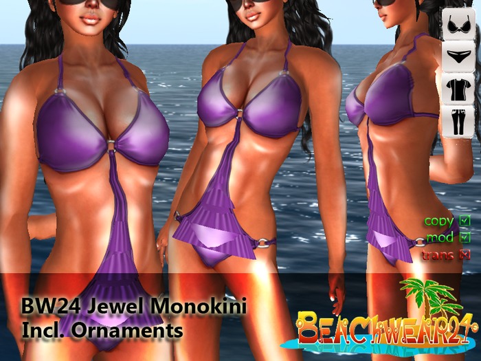 BW24 Jewel Monokini Purple