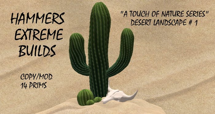 "A TOUCH OF NATURE"  DESERT LANDSCAPE # 1   *HXB*