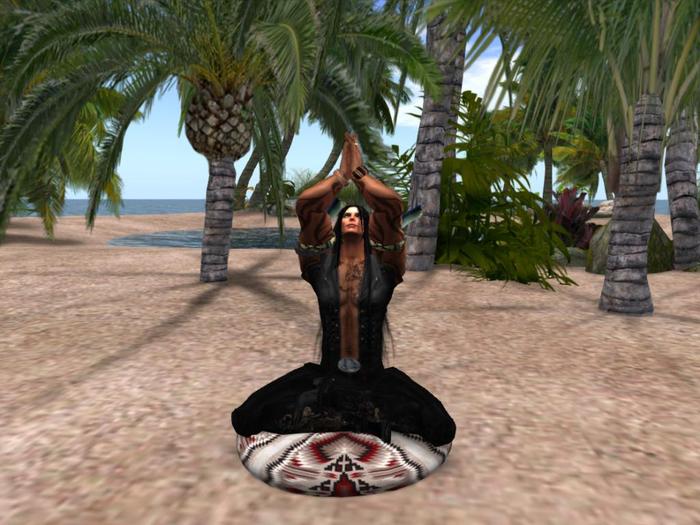 Wolf's Meditation Cussion