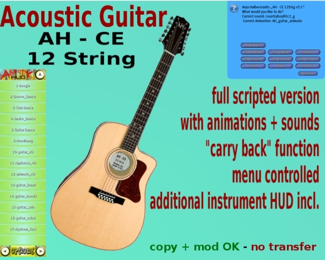 Acoustic Guitar 12strg 