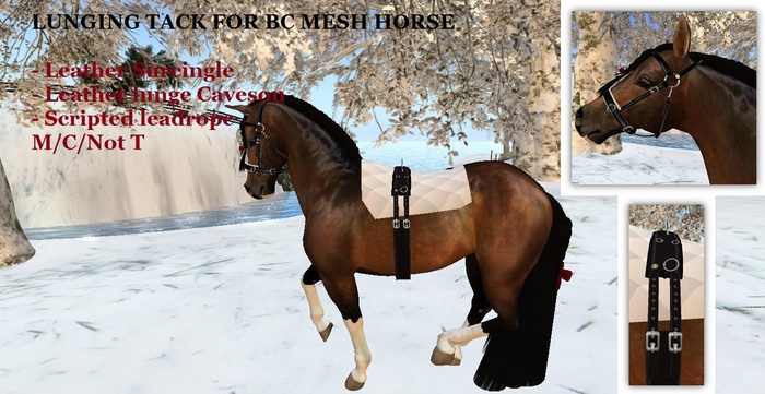 Lunging Tack for BC mesh horse
