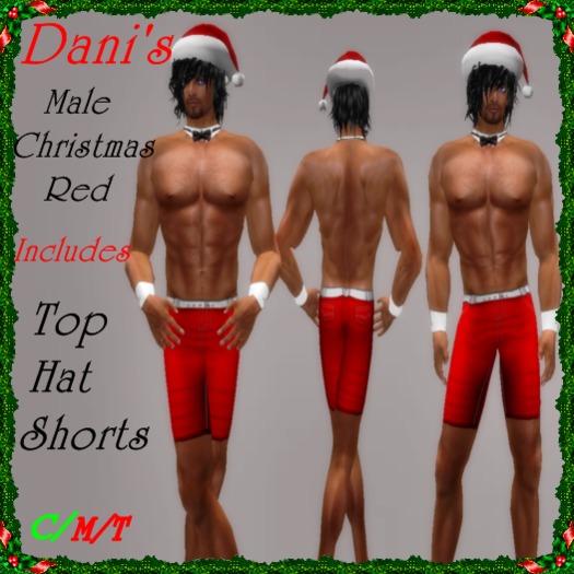 *Dani's* Male Christmas Red