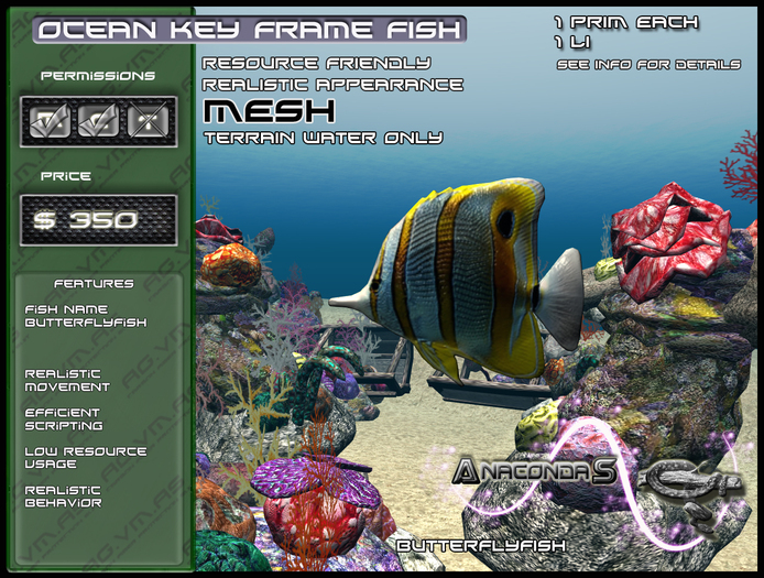 AnacondaS Ocean key frame fish Butterflyfish