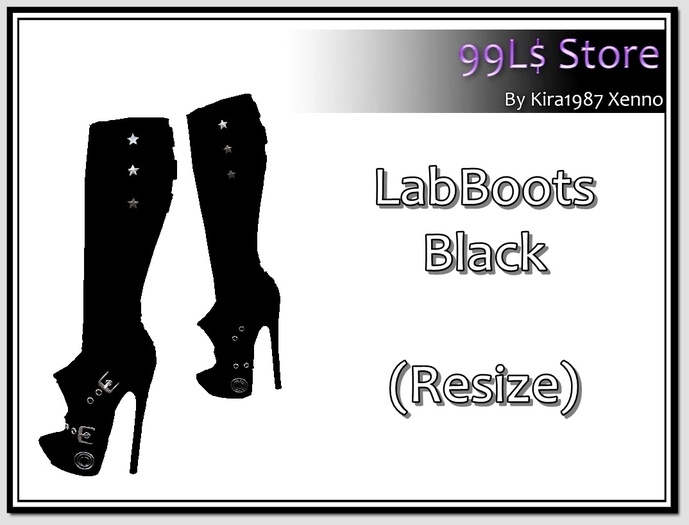 LabBoots Black 