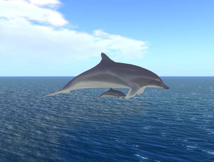 lot de 2 dauphins droite et gauche